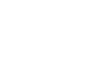 camioncino